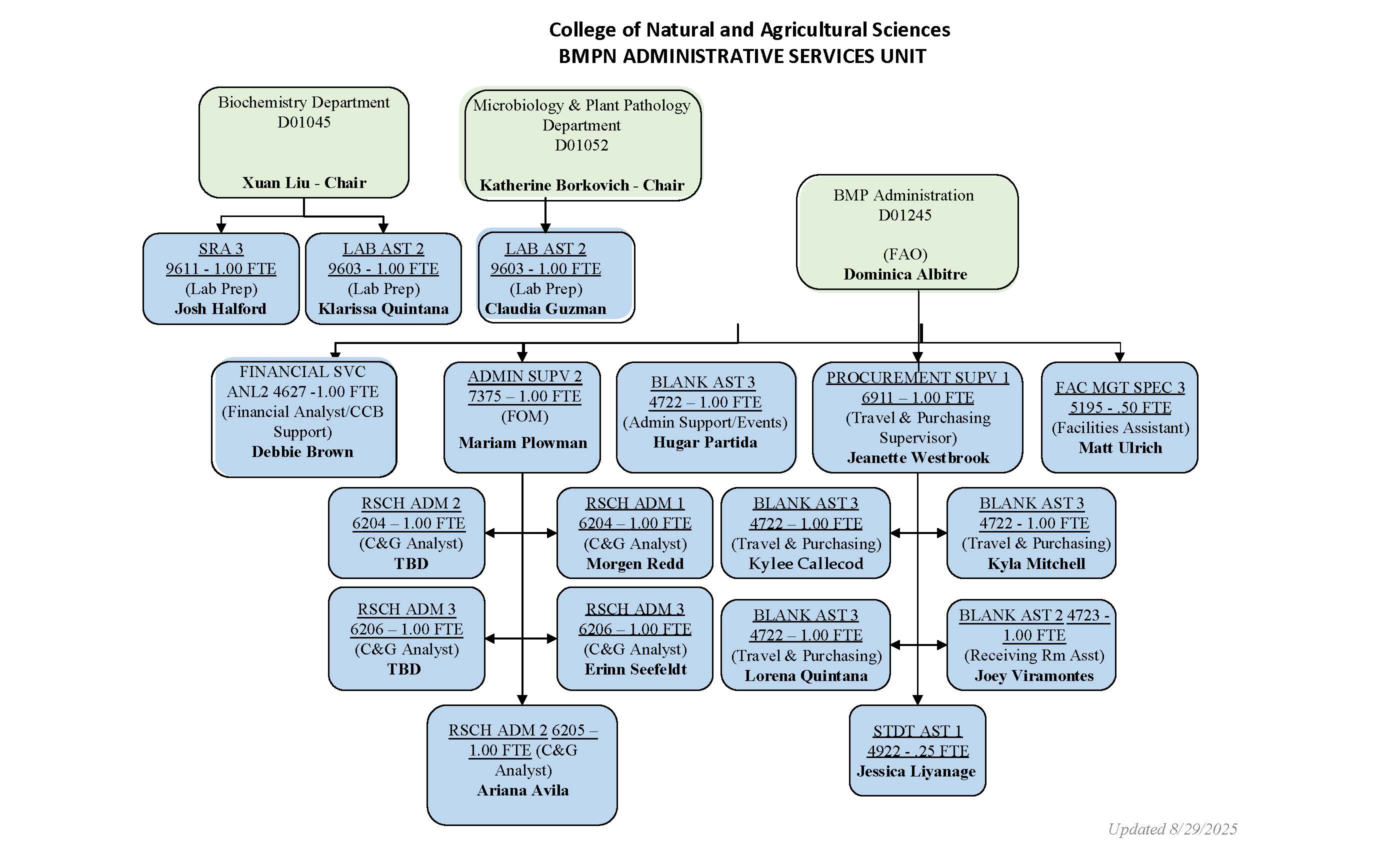 BMP Org Chart New