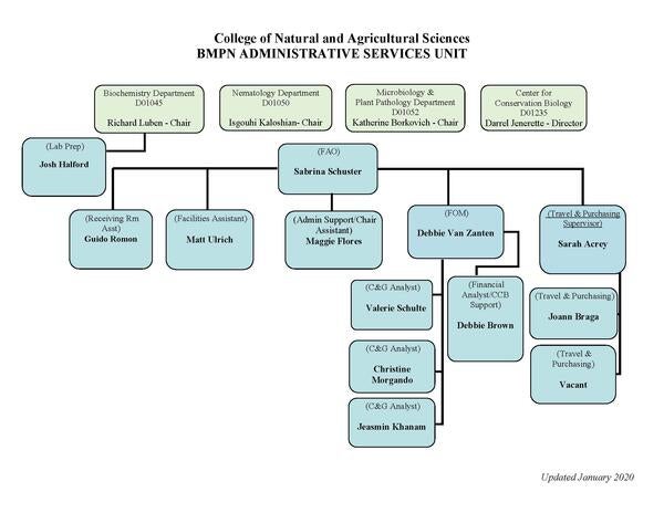 BMPN Org Chart 1.2020