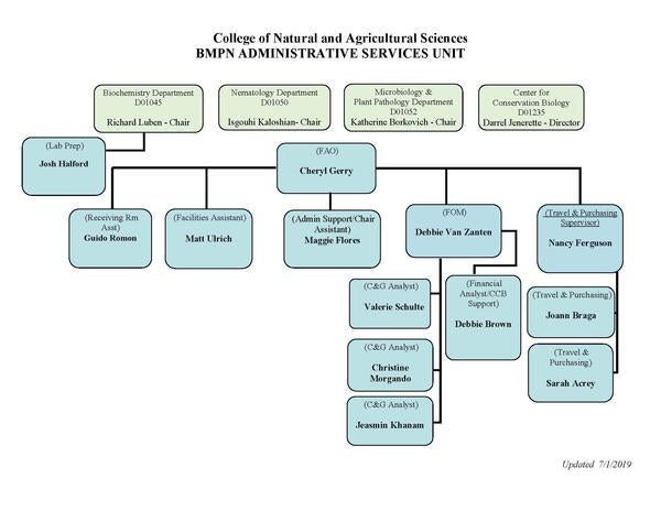 BMPN Org Chart 7.2019