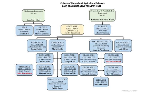 BMP Organizational Chart 12/18/25